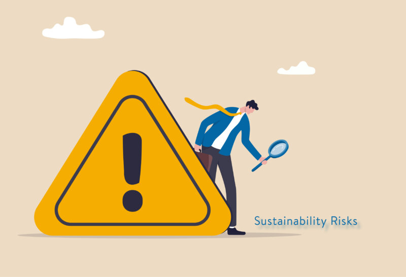 Sustainability preferences and risks | ESG | Dr Joerg Streissle from Annerton | PayTechLaw